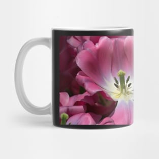 TULIP Mug